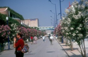 Avenidas de la Expo'92.