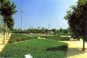 Las plantas aromáticas abundaban en el Jardín del Guadalquivir.